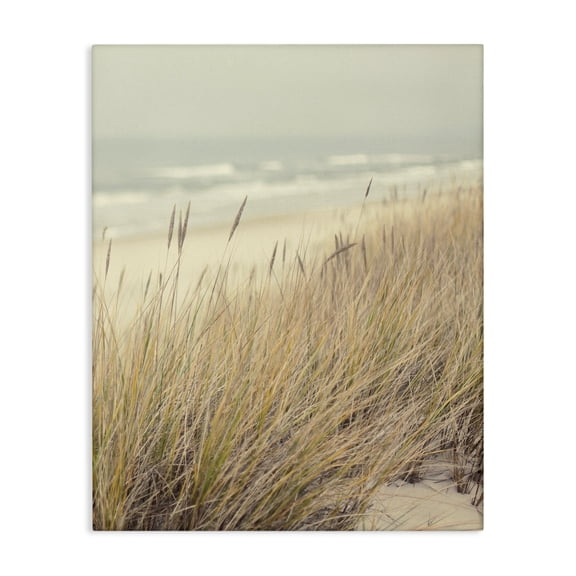 Stupell Industries Beach Dreams Sea Grass Canvas Wall Art design by Marcus Prime, 20 x 16