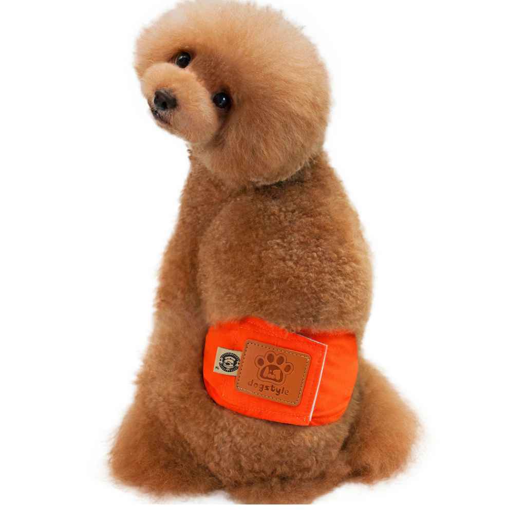 dog belly band walmart