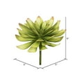 thumbnail image 4 of Vickerman FO195006 Assortiment de Choix Succulents Verts de 6 Po - Pack de 3, 4 of 6