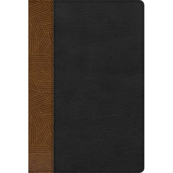 RVR 1960 Biblia de Estudio Arco Iris, tostado/negro simil pi