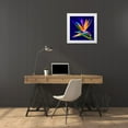 thumbnail image 3 of Pansanit, Surapol 12x12 White Modern Wood Framed Museum Art Print Titled - Bird Of Paradise, 3 of 4