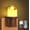 Brown, variant on 2-in-1 Plug in Night Light (1 Pack) -  Mode: Dusk to  Sensor OR Remote Timer - Dimmable Electric Candle Wall Sconce for  Decor (Bronze)