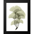 thumbnail image 2 of ACEE 15x18 Black Modern Framed Museum Art Print Titled - Ginko II, 2 of 5