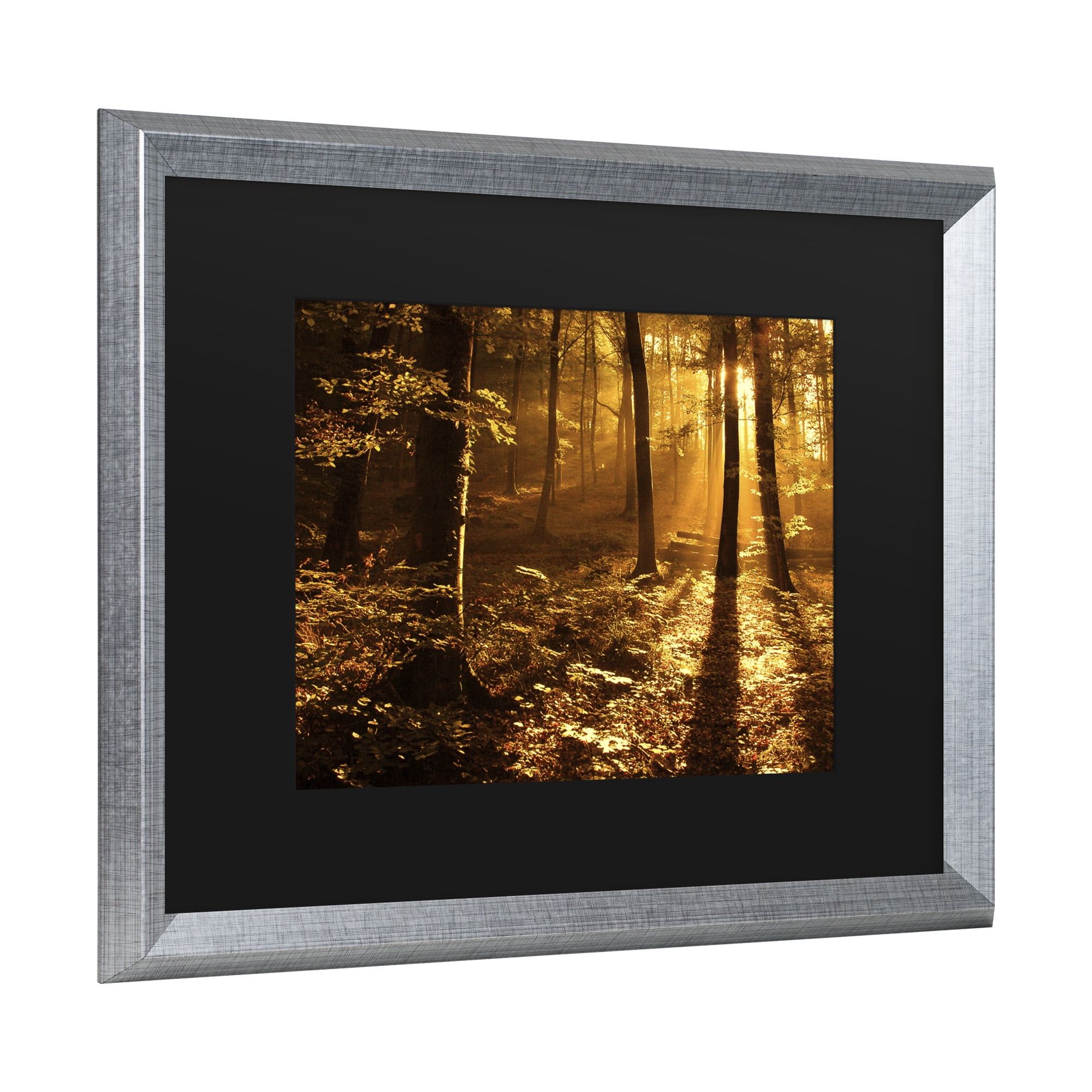 Trademark Fine Art 'Morning Light' Canvas Art by Philippe Sainte-Laudy