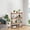 Pink #3, variant on Bathroom Organizer Shelf 4 Tier Countertop Storage Rack Multi Layer Stand for Shampoo and Shower Gel - Plastic Stackable Shelving Unit for Kitchen Living Room Desk Organization