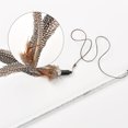 thumbnail image 4 of Baguette Teaser pour Chat Fausse Plume Cloche Décor Jouet Interactif pour Chat Jouet d'Entraînement pour Chat, 4 of 10