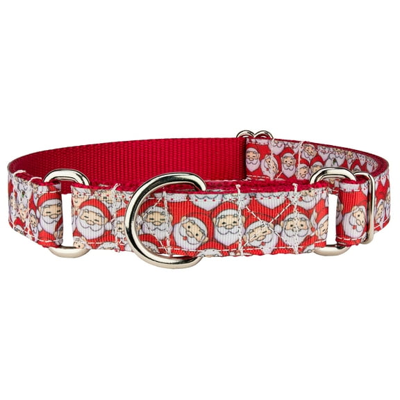 Country Brook Petz® Where's Merry Ribbon Martingale Dog Collar, Small