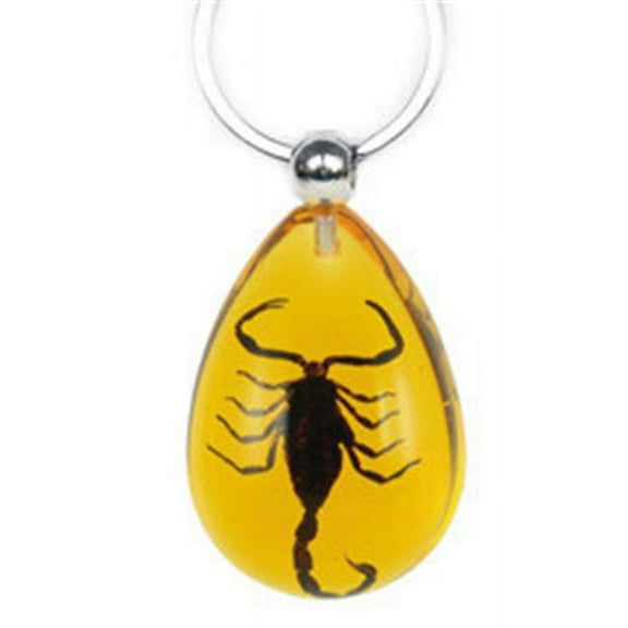 Key Chain Black Scorpion Water Drop Shape Amber