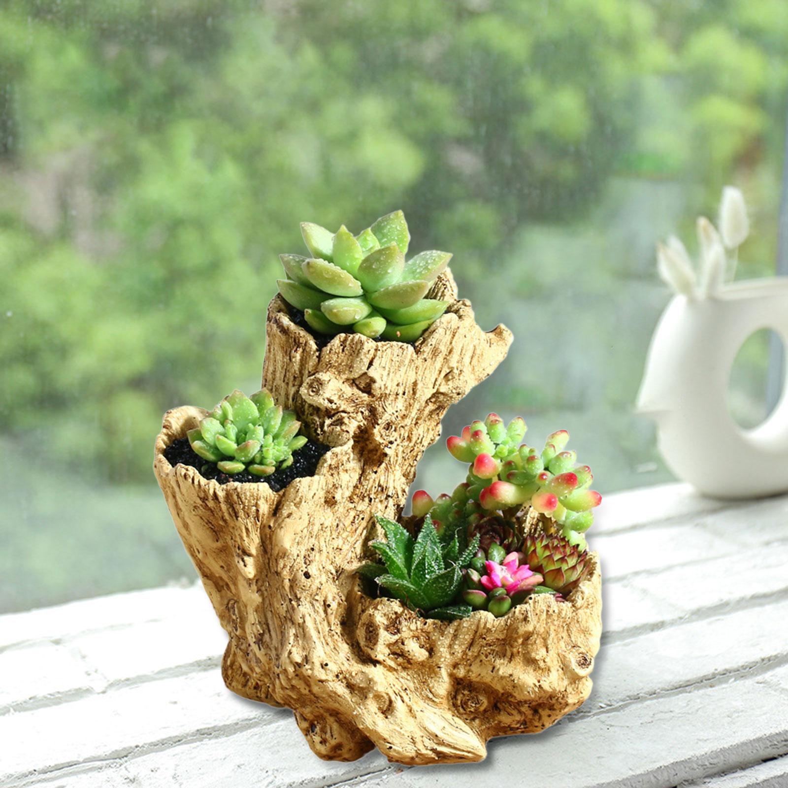 CarpNettore Planter Pot Artificial Driftwood Succulent Container for Bedroom Home Indoor