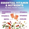thumbnail image 2 of Multivitamin Gummies - Nature's Daily Gummy Multivitamins for Adults, Women & Men with Vitamins A, C, E, B6, B12, and Minerals - Natural Multi Vitamin Supplement, Non-GMO, Berry Flavor - 120 Gummies, 2 of 10