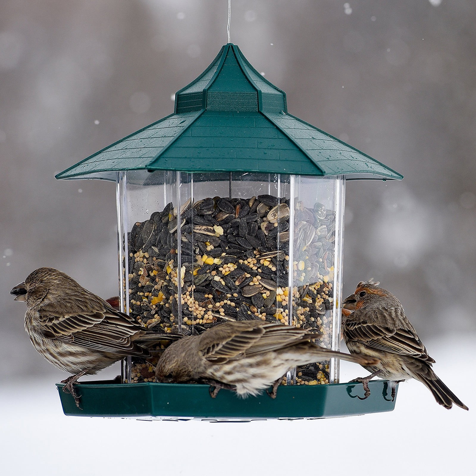 Bird Feeder for Outside Hanging,Bird Seed for Outside Wild Bird Feeders for Garden Yard Outdoor Decoration,Round Roof Design for Sun-Proof and Rainproof, Green