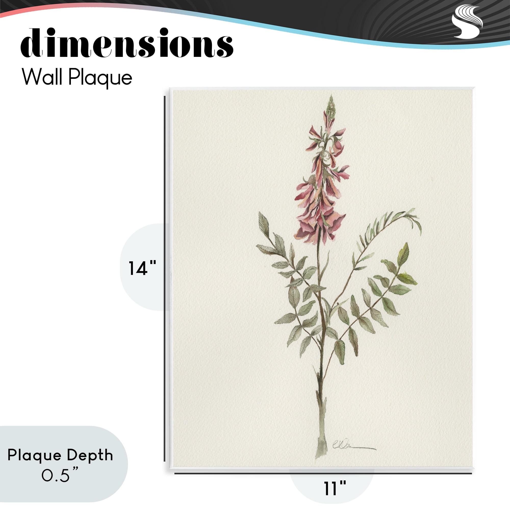 Stupell Industries Nature's Delicate Herb Sprig Wall Plaque Art, design by Cady Driver