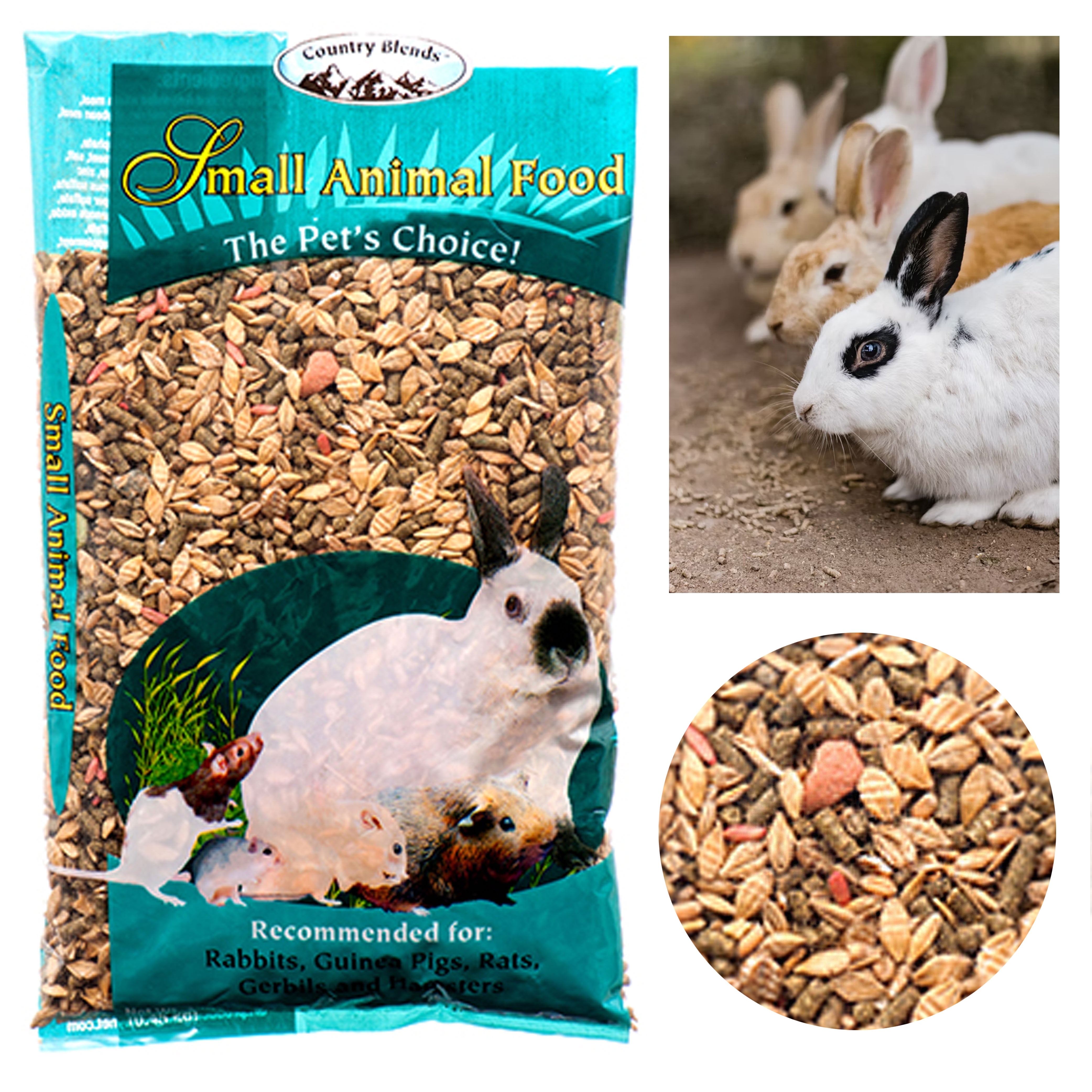 rabbit food treats