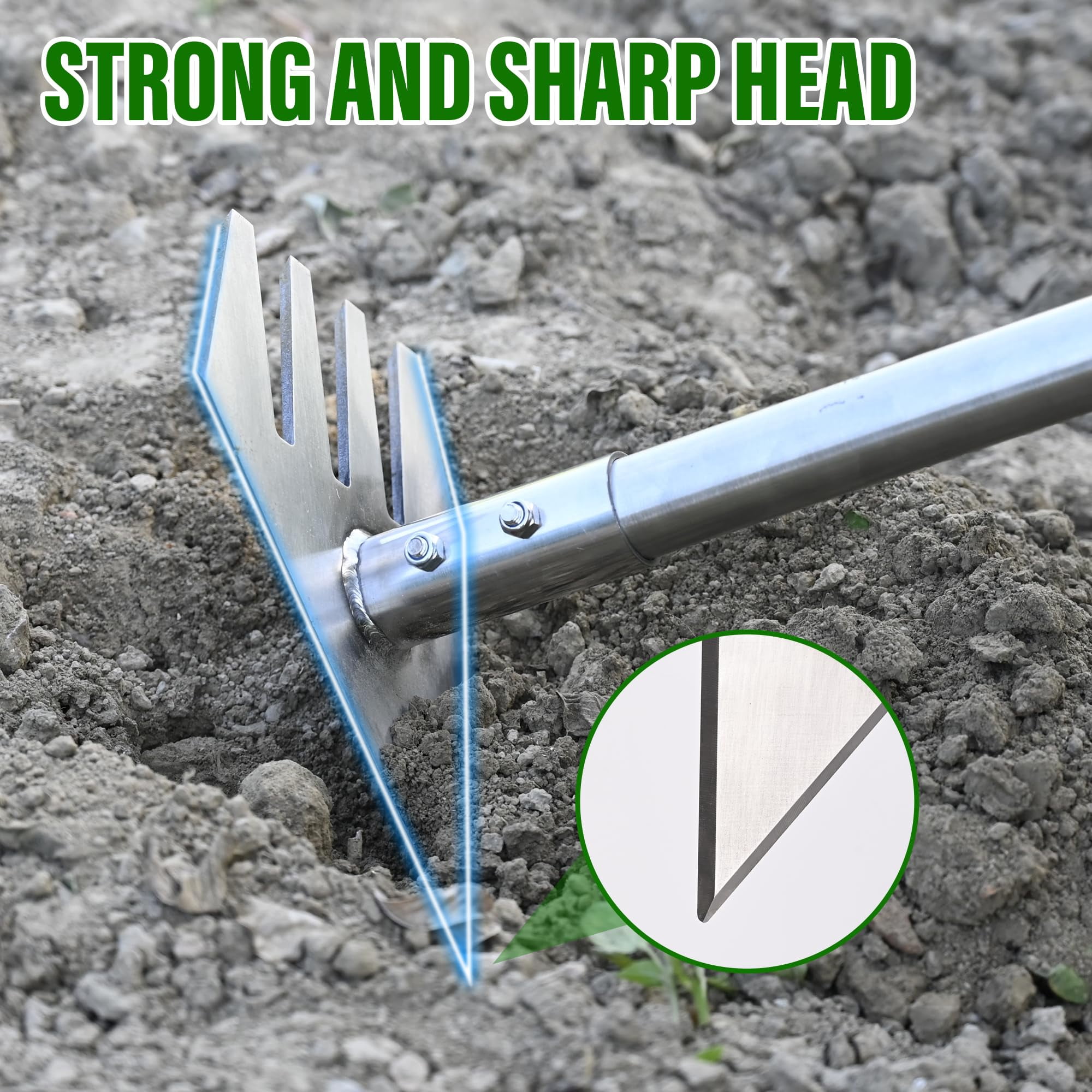 Garden Hoe Tool And Weeder  56 Inch Long Handle Cultivator With Stainless Steel Heavy Duty Hand Tiller For Weeding Digging Loosening Soil Removing Moss