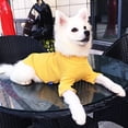 thumbnail image 4 of SPRING PARK Pet Dog Clothes Solid Color Dog Soft Texture Shirt Dogs Shirt Casual Puppy Sweater for Dogs, 4 of 7