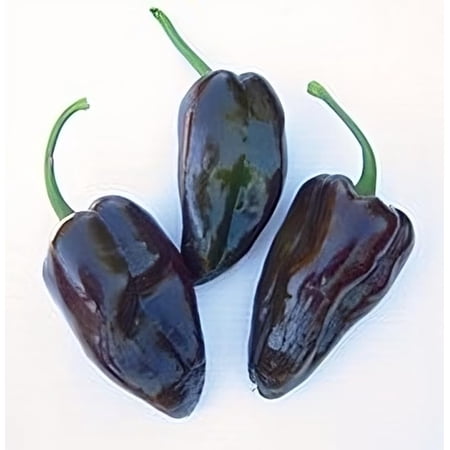 Pepper Hot Mulato Isleno Great Heirloom Vegetable by Seed Kingdom (1/4 Lb Seeds)