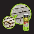 thumbnail image 4 of Lilly Miller Corrys Moss B Ware 4lb, 4 of 10