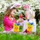 thumbnail image 2 of Huevos de Pascua con juguetes novedosos, cesta de Pascua, regalo, huevos de Pascua, piñata, juguete, premios en el aula, juguetes para niños, 2 of 7