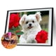thumbnail image 2 of Wdftyju pintura de diamantes Wdftyju 6cc5gs6lp5dh9wm5, 2 of 9