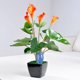 thumbnail image 2 of Naiovety Herramienta de riego automático para jardín, Kit de sistema de riego por goteo para interior de pájaros bonitos, bebederos para plantas en Type3 NO3 Naiovety HA6119-02, 2 of 6