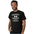 thumbnail image 5 of Sarcastic Property of Awesome Dude Men's Graphic T Shirt Tees Brisco Brands S, 5 of 5
