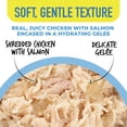 thumbnail image 5 of (2 pack) Tiki Cat Gelee Wet Cat Food, Chicken & Salmon 2.8 oz. Pouch, 5 of 7