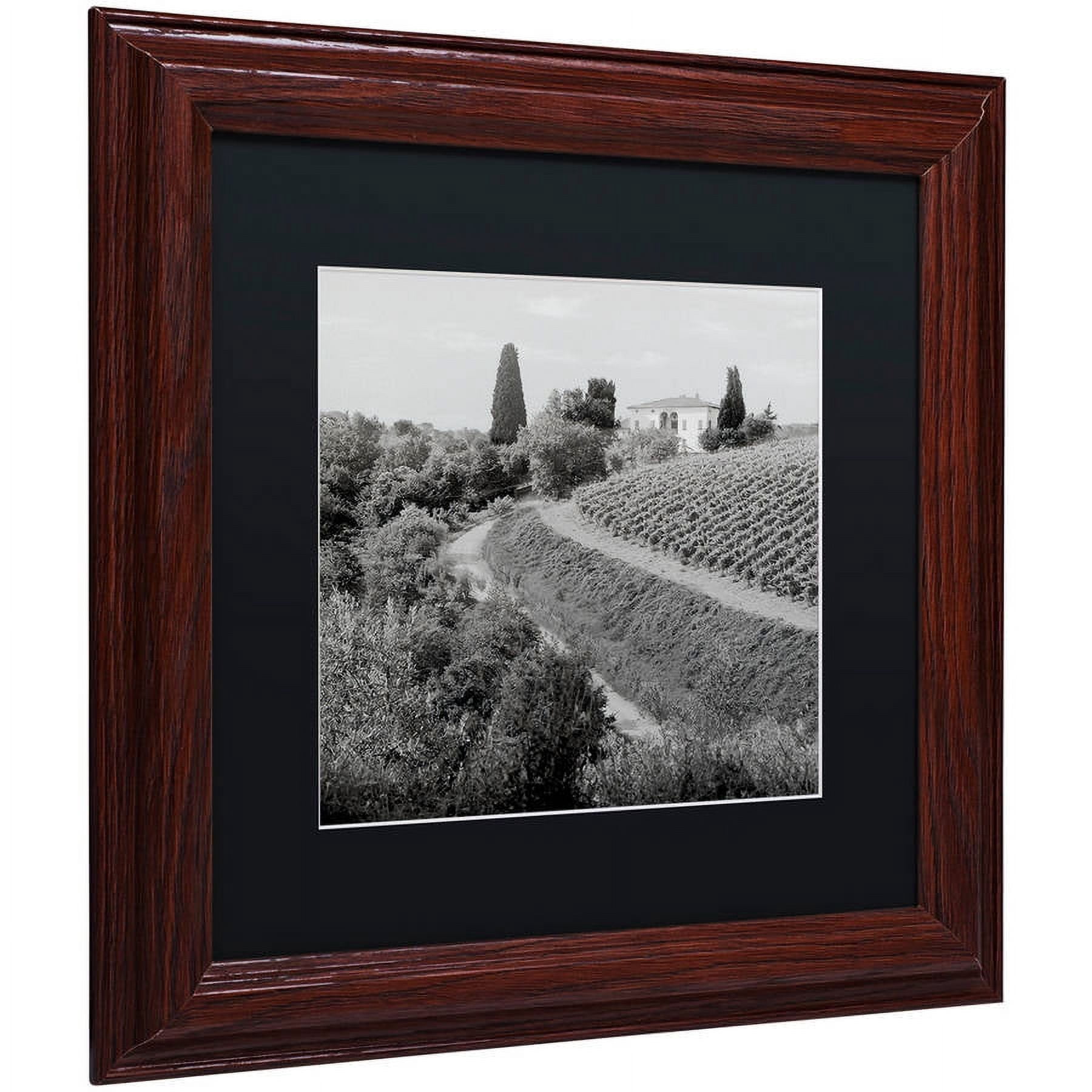 Trademark Fine Art "Tuscany V" Canvas Art by Alan Blaustein, Black Matte, Wood Frame