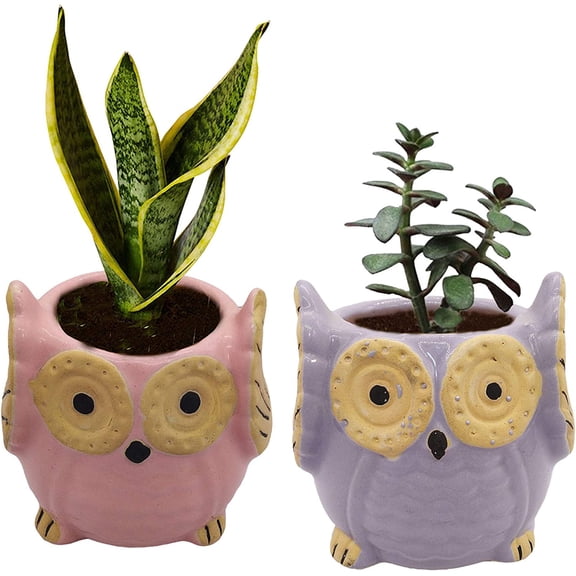 India Meets India Ceramic Planter, Owl Shaped [Multi-Color - 3.5 inch] - Ceramic Flower Pot/Indoor/Outdoor Pot, Set of 2 - by Awarded Indian Artisan