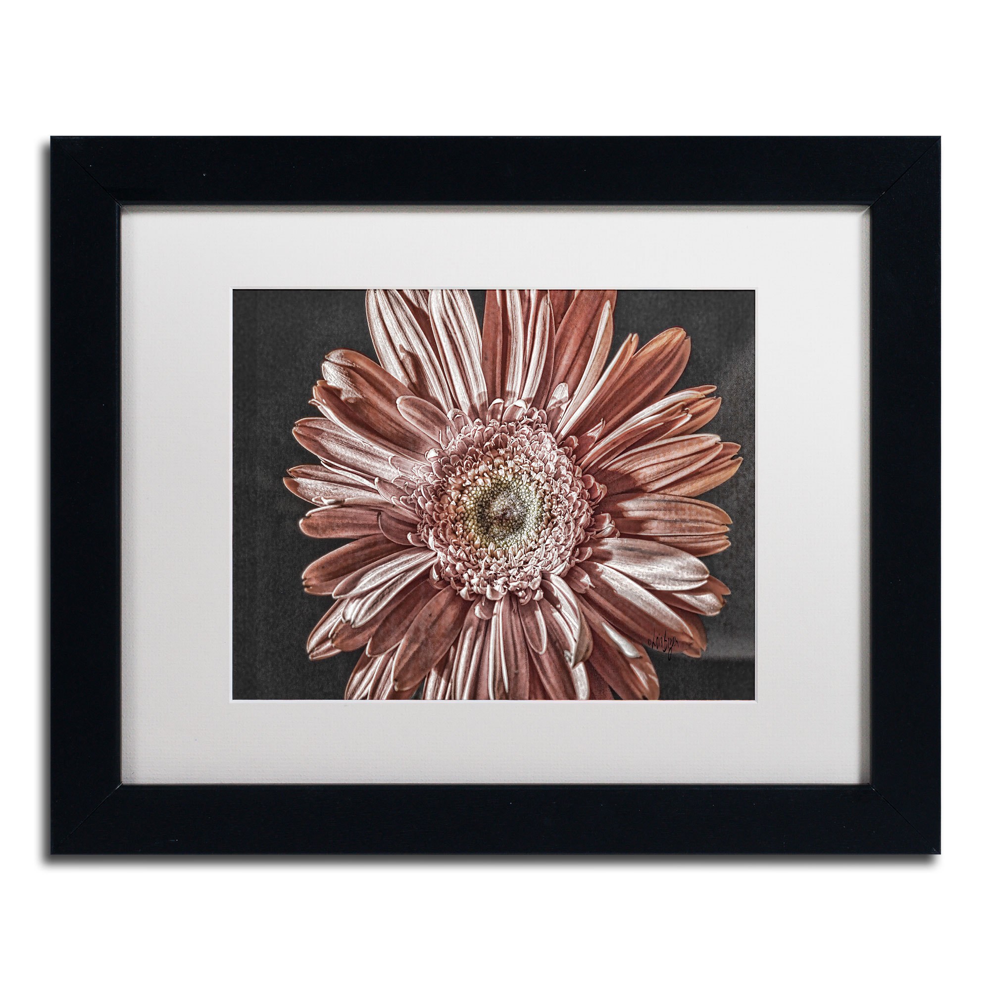 Trademark Fine Art "Silvery Pink" Canvas Art by Lois Bryan, White Matte, Black Frame