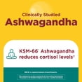 thumbnail image 4 of Nature Made Ashwagandha KSM 66 + Reishi Mushroom Capsules for Stress Relief, 60 Count, 4 of 9