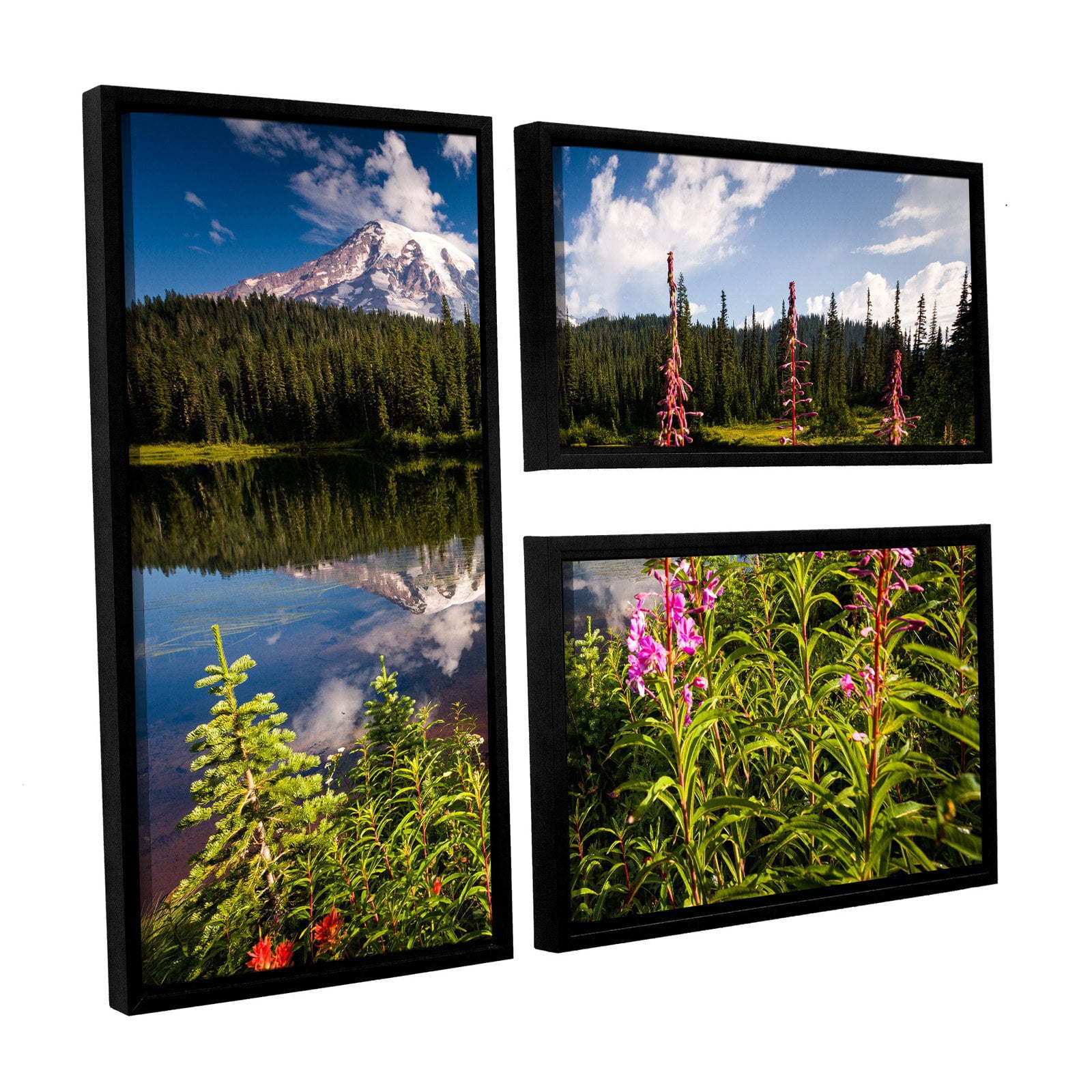 Wild Flowers And Mt Rainier Horizontal