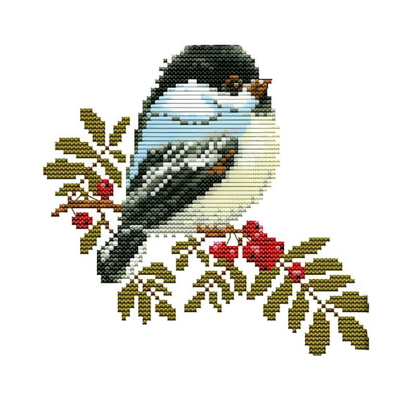 VANIDO Cross Stitch Stamped Kits Pre-Printed Patterns for Beginner Kids Adults,Embroidery Needlepoint Starter Kits,Little Birds 14CT
