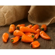 Proven Winners 4-Pack, 4.25 in. Grande Proven Selections Sweet Petite Orange Pepper Live Plant Vegetable