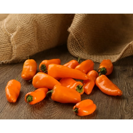 Proven Winners 4-Pack, 4.25 in. Grande Proven Selections Sweet Petite Orange Pepper Live Plant Vegetable