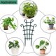 thumbnail image 4 of Enrejado En Maceta, Enrejado De Plantas De Interior, Mini Enrejado De Plantas Diy Garden Botao, 4 of 5