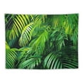 thumbnail image 5 of Creowell  Green Tapestry, Tropical Exotic Palm Tree Leaves Branches Botanical Photo Jungle Garden Nature Eco Theme, Wide Wall Hanging for Bedroom Living Room Dorm,Green 40x60inch, 5 of 6