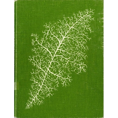 (Custom Reprint) Yearbook: 1975 University of San Francisco - USF Don Yearbook (San Francisco, CA)