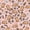 A Pink Brown, variant on Erosebridal Cute Floral Capybara Zipper Twin Comforter Sets with Fitted Sheet and 2 Pillowcases,Rustic Plant Flower Zipper Bedding Set For Girls,Pink Reversible,4pcs