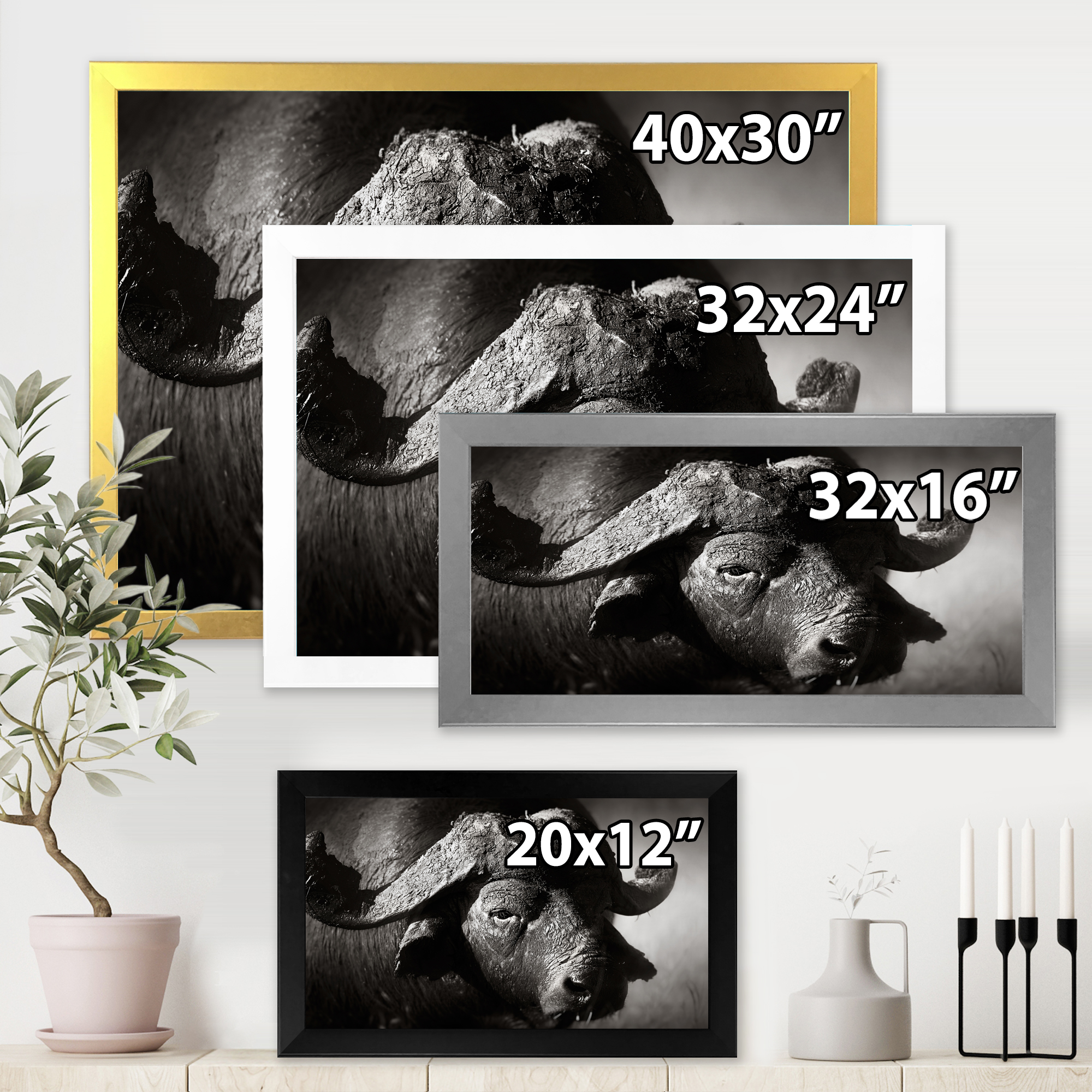 Designart 'Black and White Portrait Of Buffalo II' Farmhouse Framed Art Print