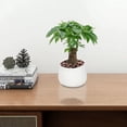 thumbnail image 1 of RXIRUCGD Pot de Fleurs Rond Style Vintage Blanc Pots de Fleurs Texturés Cylindriques pour Plantes Succulentes, 1 of 3