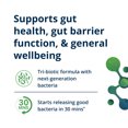 thumbnail image 4 of Metagenics UltraFlora Triplebiotic with Akkermansia- Digestive Supplement for Gut Health & Gut Barrier Function* - Contains Prebiotic, Probiotic & Postbiotic - 30 Capsules, 4 of 9