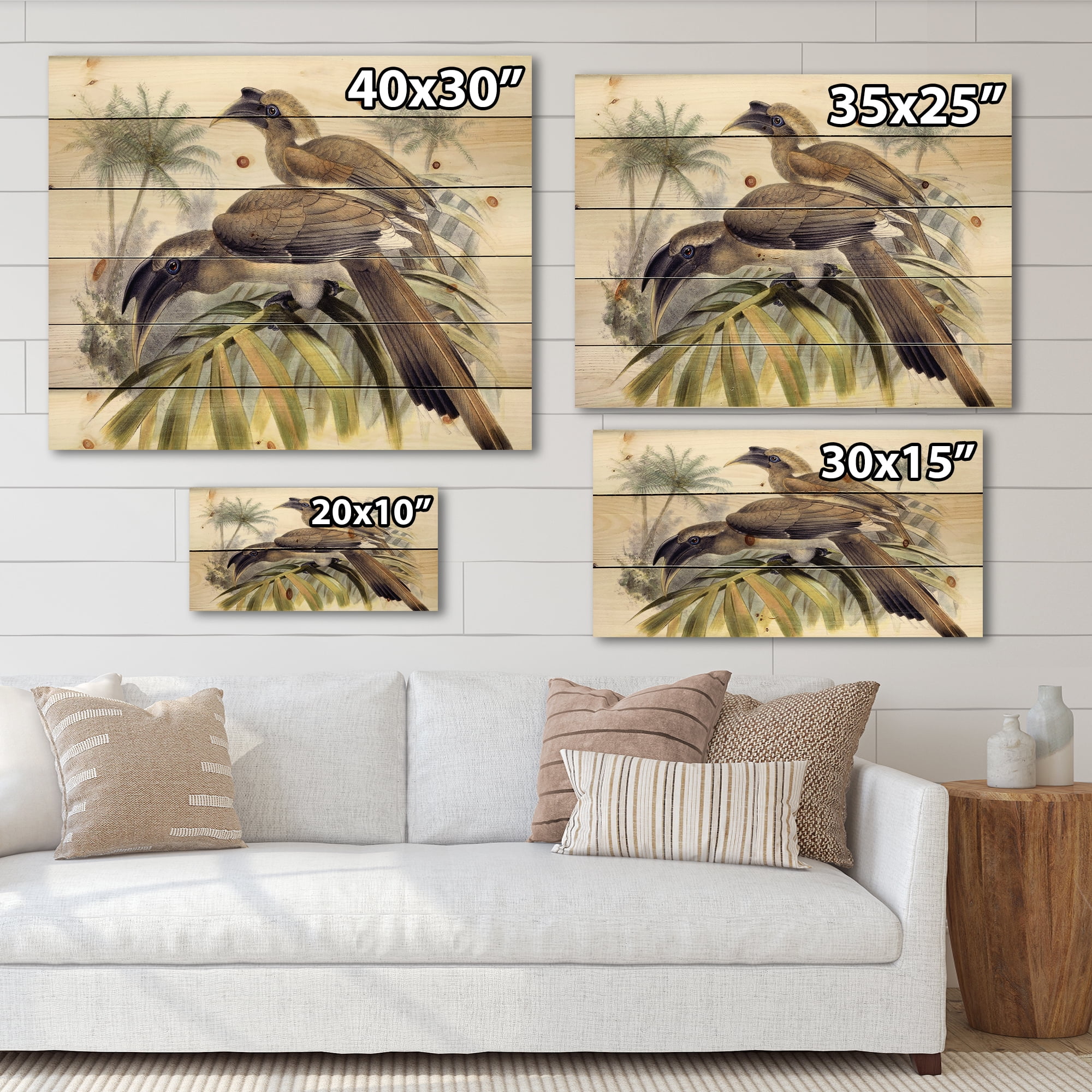 Designart 'Ancient Australian Birds XIV' Traditional Print on Natural Pine Wood