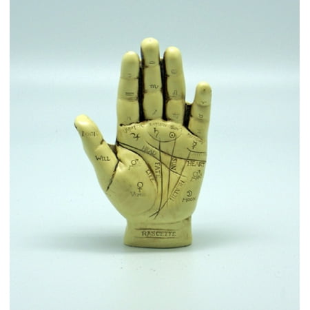 - Palmistry Hand Model Sculpture Figurine Fortune Telling Palm Reading Decoration