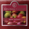 thumbnail image 5 of Colonial Candle Apple Orchard Scented Jar Candle - Classic Ovals - 2 Wick - 3.5 oz - 20h Burn, 5 of 5