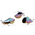 thumbnail image 3 of 6", 6", 8"W Multi Colored Ceramic Shell Sculpture with Rainbow Shimmer Finish, by DecMode (3 Count), 3 of 10