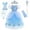 Dress & 6 Accessories, variant on HTQWLP Little Girls Fairy Tale Princess Dress, Halloween Party Elegant Princess Dress up Costumes with Accessories, Toddler Princess Cosplay Outfits for Girls Age 2 - 12 Years, Blue/130