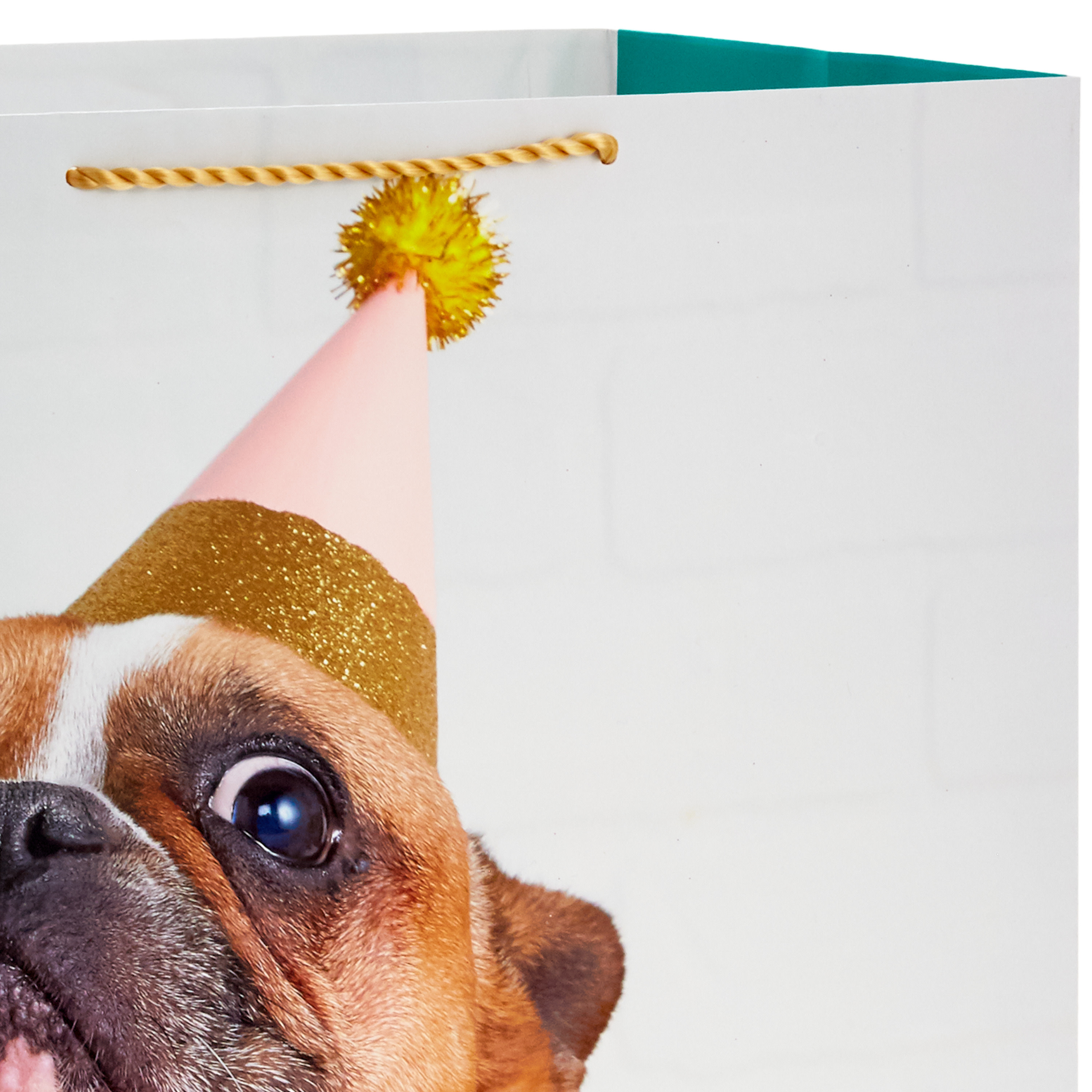 Hallmark Extra-Deep Green Birthday Gift Bag (Cute Dog in Party Hat)
