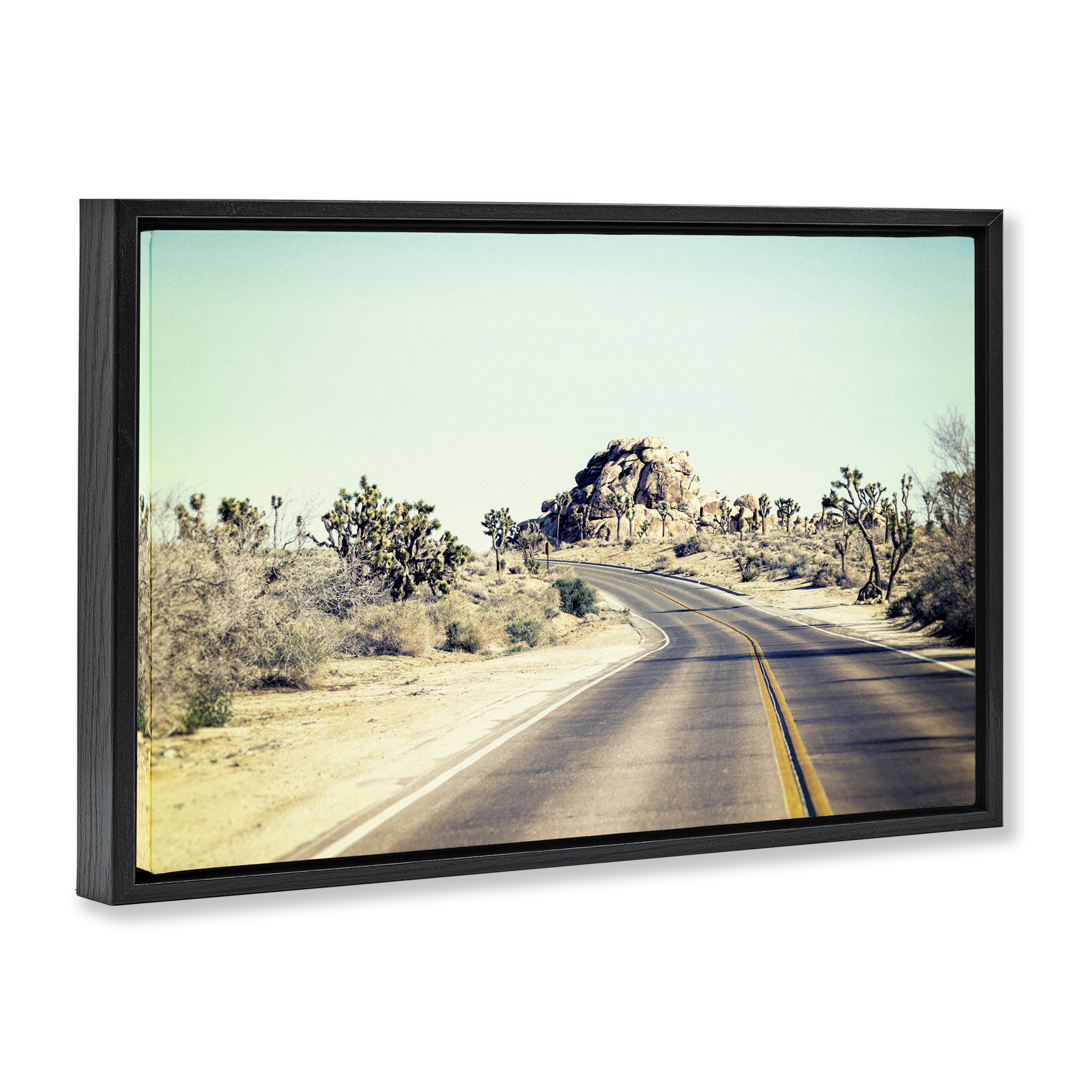 Road Trip Joshua Tree Park Black Framed Floater Canvas Wall Art, design by Joseph S Giacalone