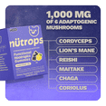 thumbnail image 4 of Nutrops by Gruns - Nootropic Mushroom Gummies for Brain Health Support, 12 Count, 4 of 9
