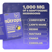 Nutrops by Gruns - Nootropic Mushroom Gummies with Lions Mane for Brain Health Support, 12 Count